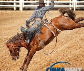 爱游戏体育-Karsa赛事官方发布败北新规，加拿大队争议不断！的简单介绍